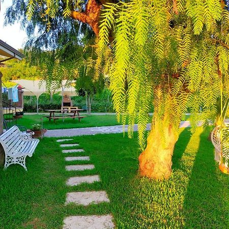Al Boschetto Bed & Breakfast Melizzano Ngoại thất bức ảnh