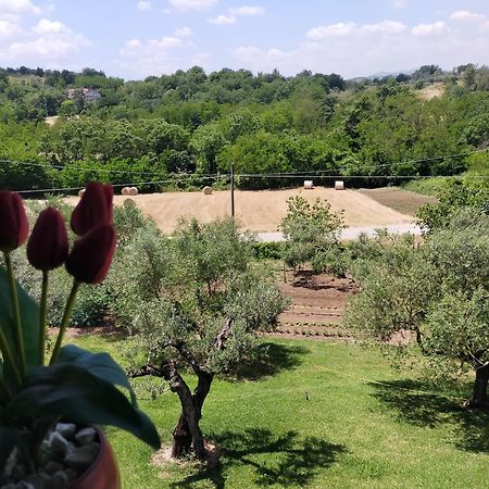 Al Boschetto Bed & Breakfast Melizzano Ngoại thất bức ảnh