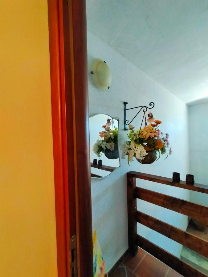 Al Boschetto Bed & Breakfast Melizzano Ngoại thất bức ảnh