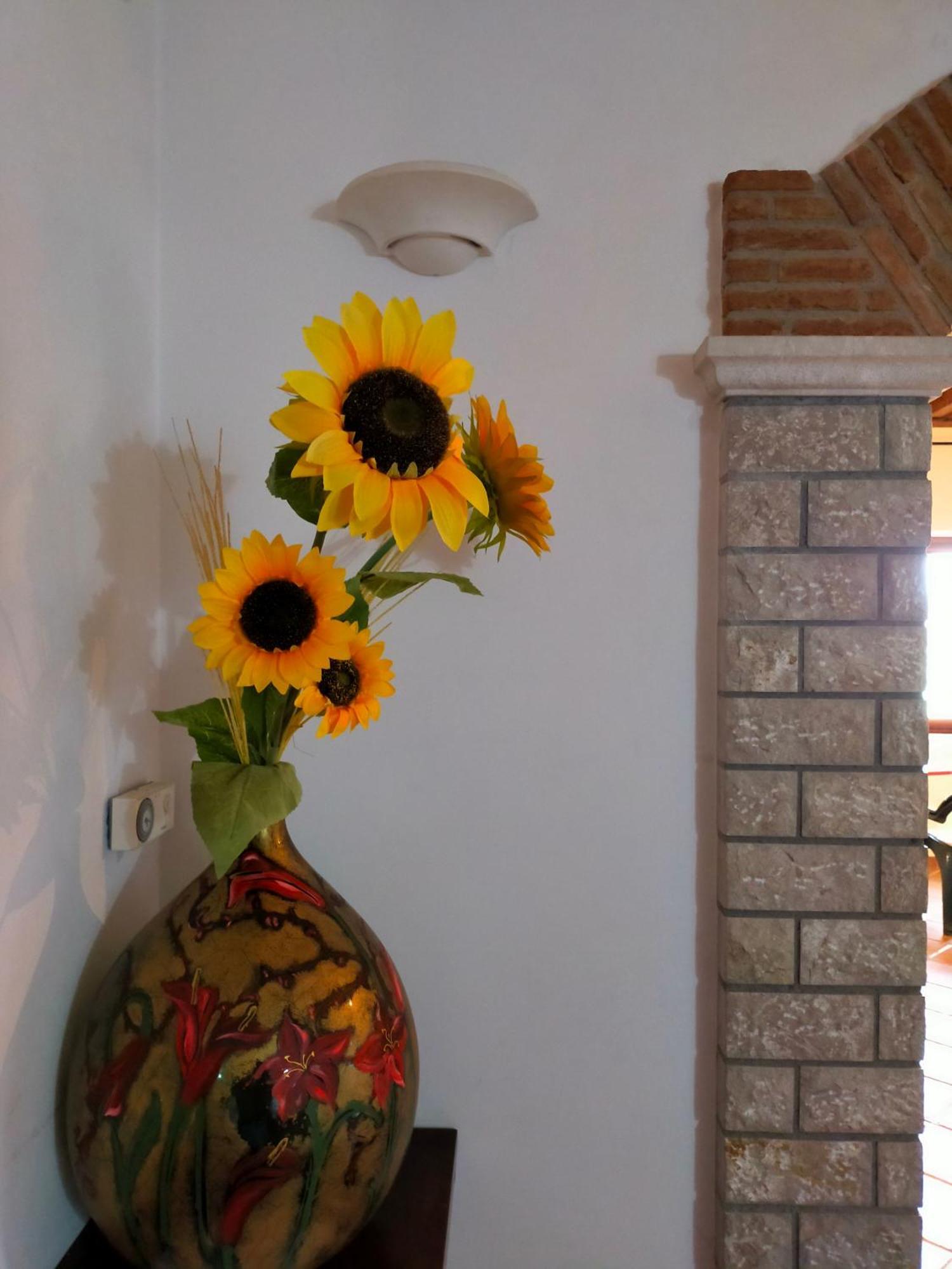 Al Boschetto Bed & Breakfast Melizzano Ngoại thất bức ảnh