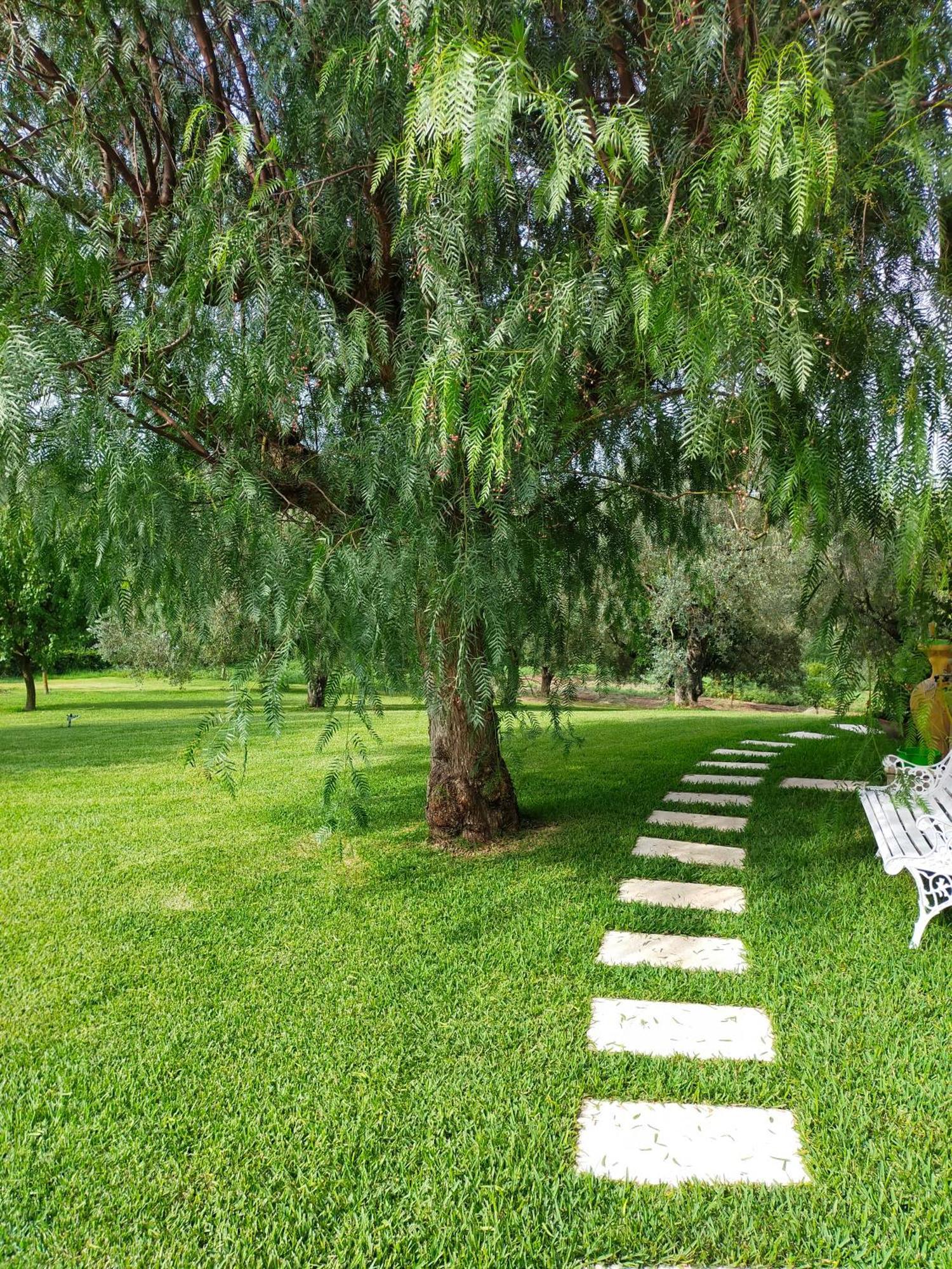 Al Boschetto Bed & Breakfast Melizzano Ngoại thất bức ảnh