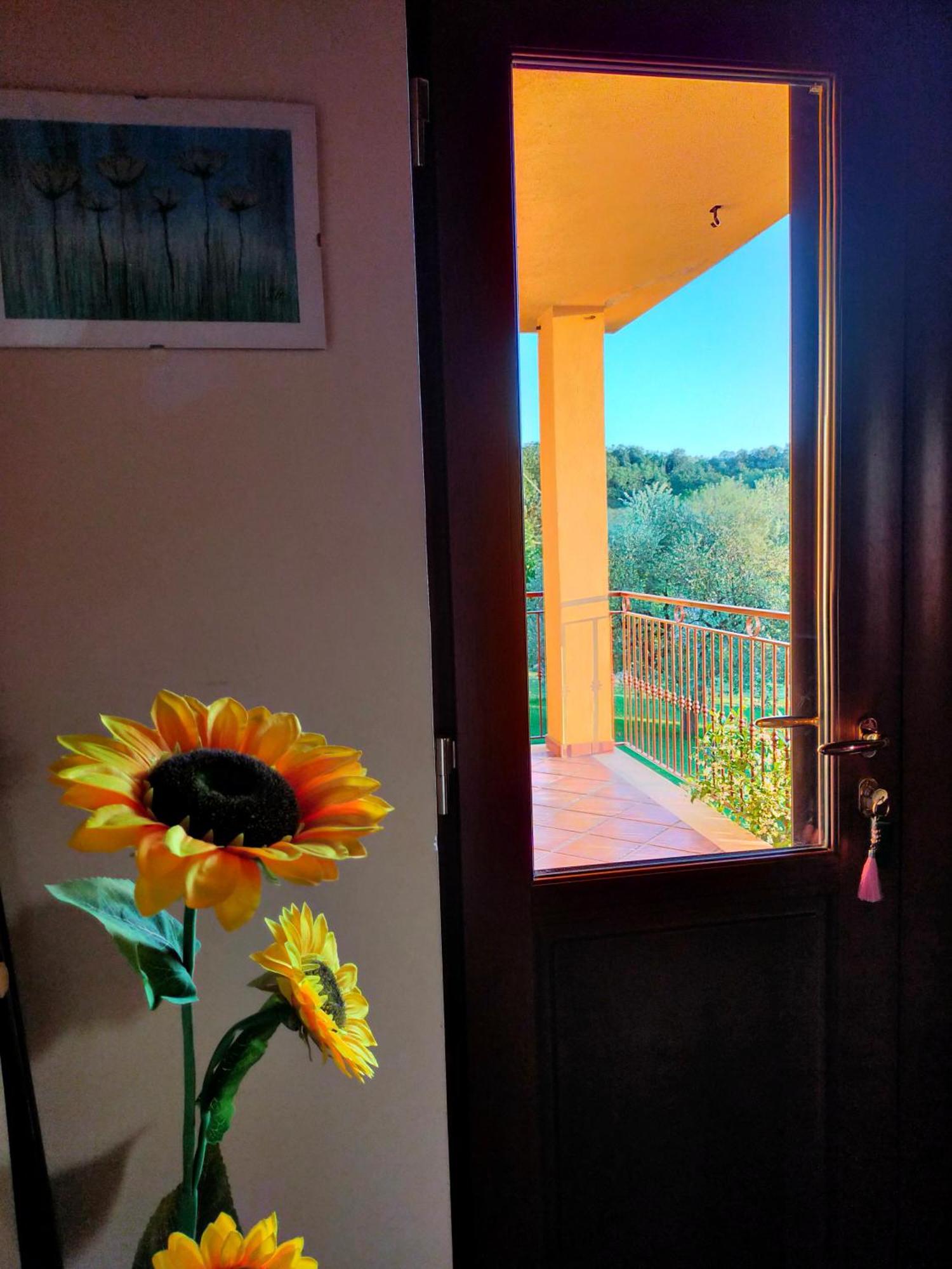 Al Boschetto Bed & Breakfast Melizzano Ngoại thất bức ảnh